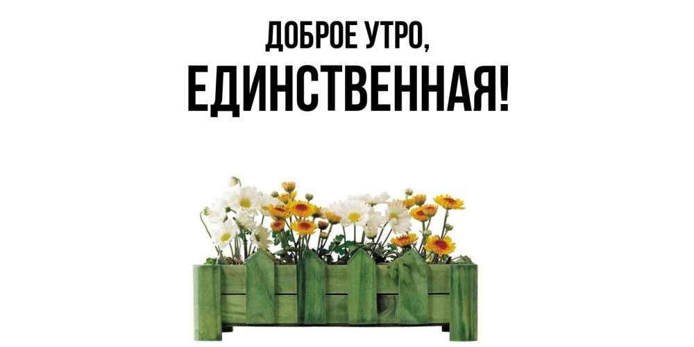Открытка с именем, единственная, Доброе утро