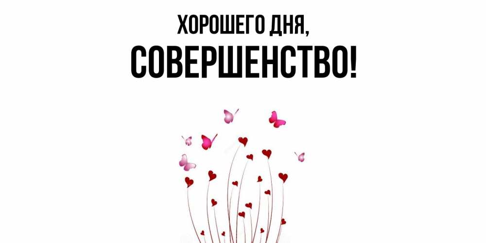 Открытка  для любимых и родных. совершенство, Хорошего дня  