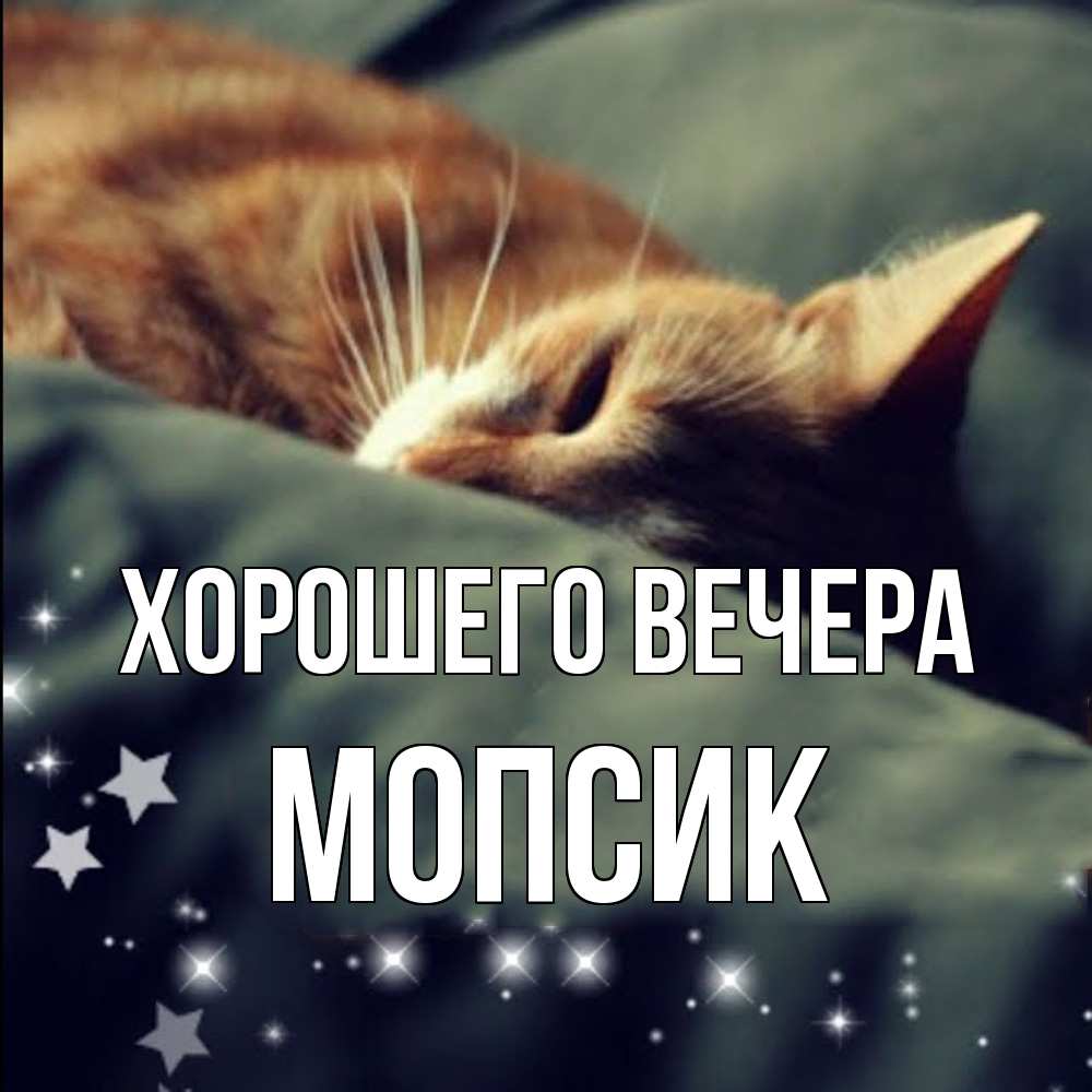 Открытка  для любимых и родных. мопсик, Хорошего вечера  