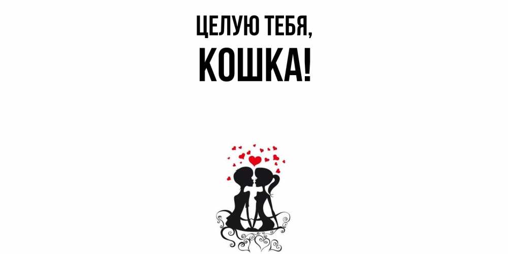 Картинка Целую тебя, кошка