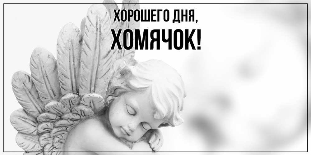 Открытка  для любимых и родных. хомячок, Хорошего дня  