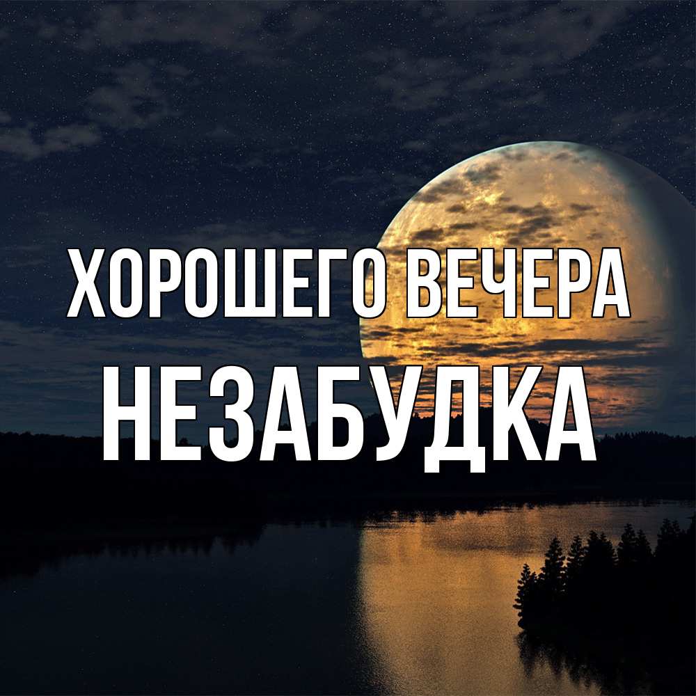 Открытка с именем, незабудка, Хорошего вечера