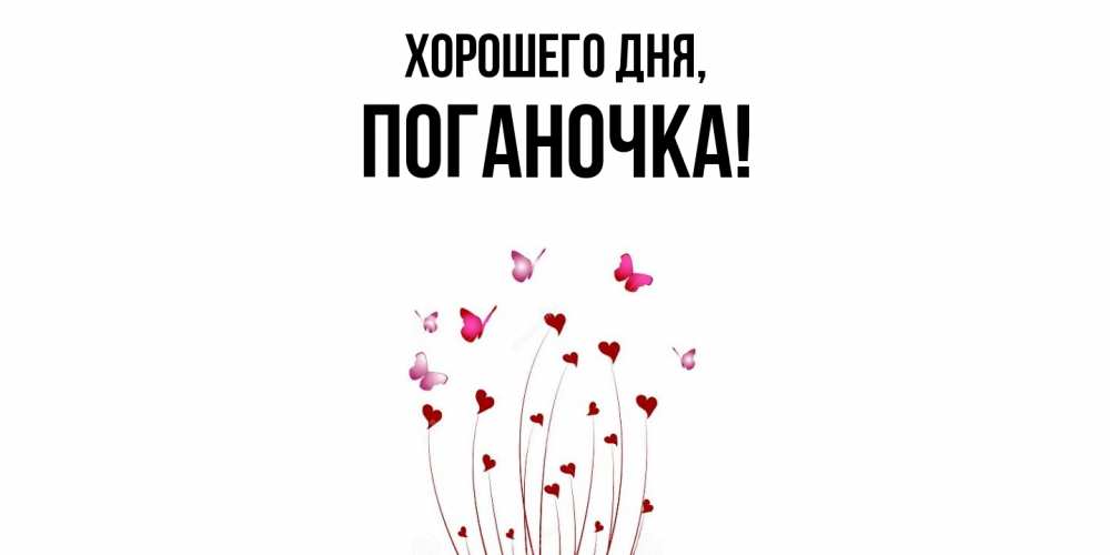 Открытка  для любимых и родных. поганочка, Хорошего дня  