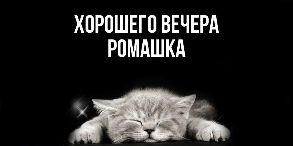 Картинка Хорошего вечера, ромашка