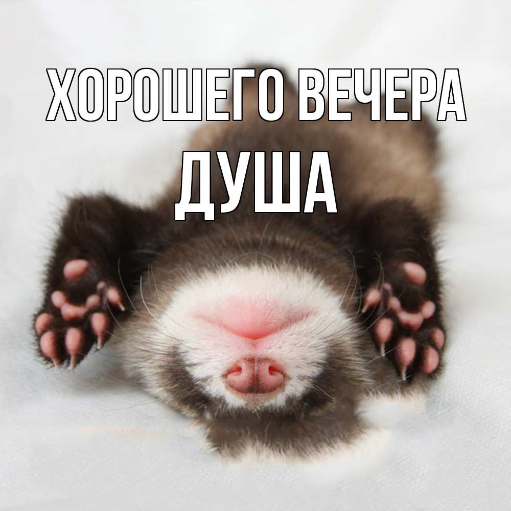 Открытка  для любимых и родных. душа, Хорошего вечера  