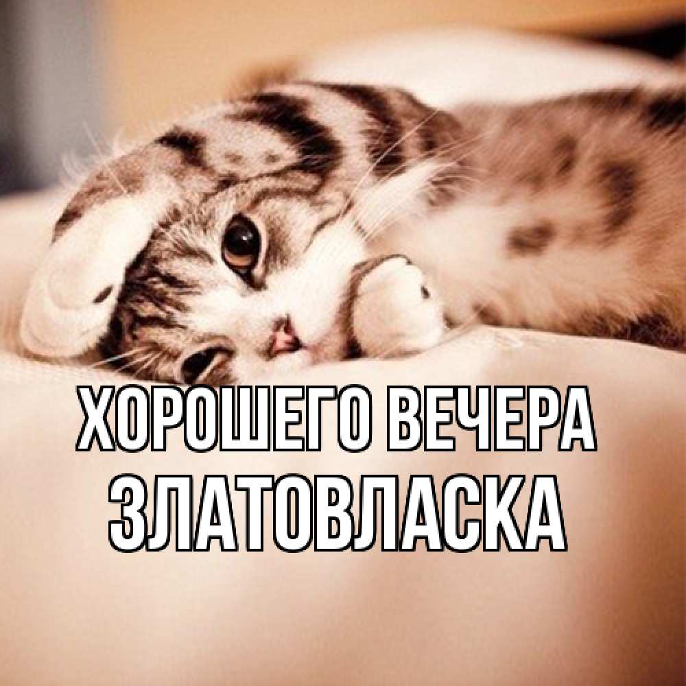 Открытка  для любимых и родных. златовласка, Хорошего вечера  