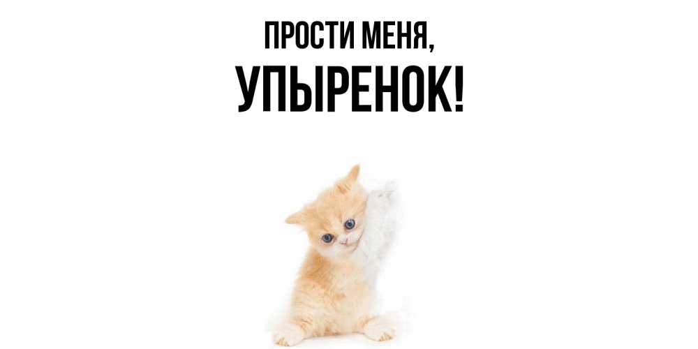 Картинка Прости меня, упыренок