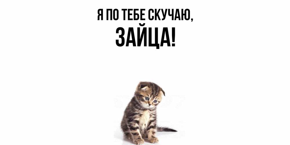 Открытка  для любимых и родных. зайца, Я по тебе скучаю  