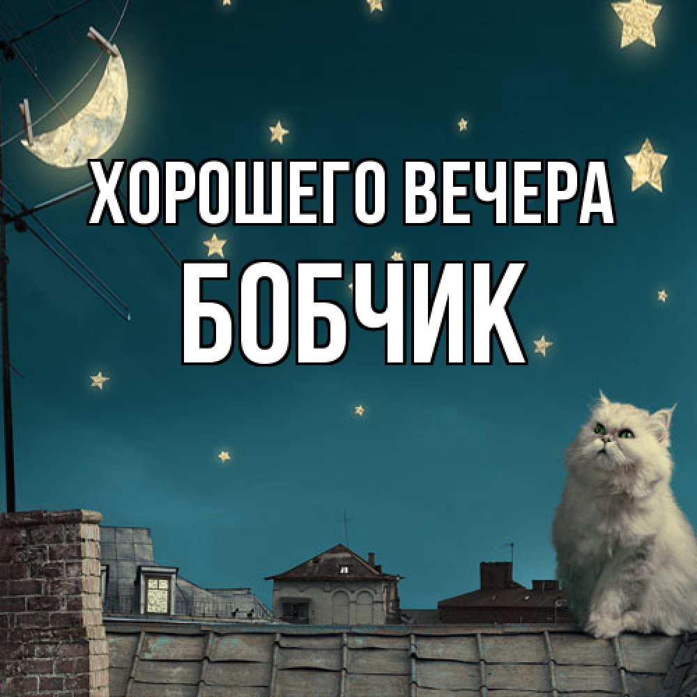 Картинка Хорошего вечера, бобчик