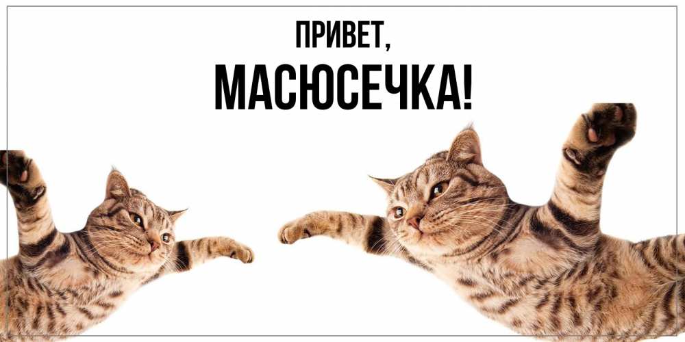 Картинка Привет, масюсечка