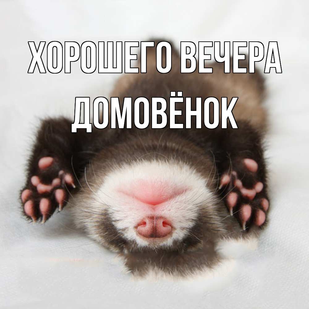 Открытка  для любимых и родных. домовёнок, Хорошего вечера  