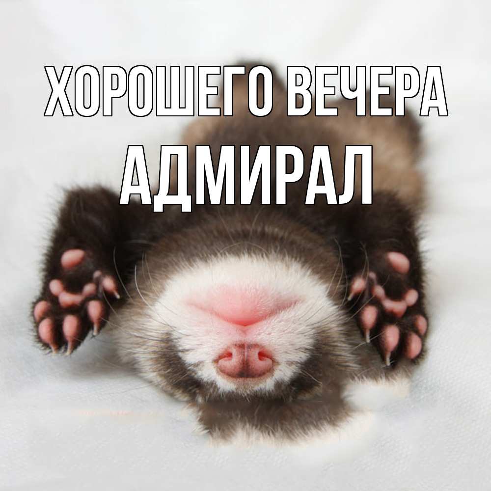 Открытка  для любимых и родных. адмирал, Хорошего вечера  