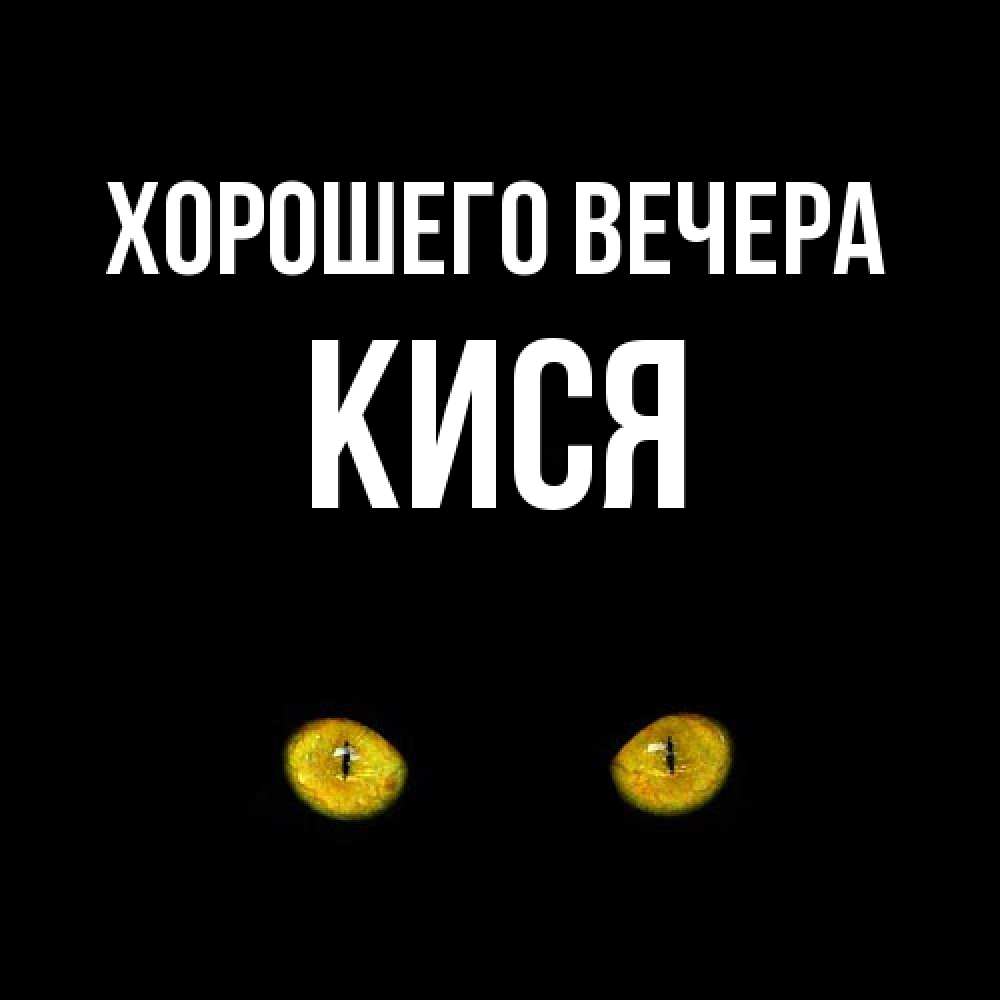 Картинка Хорошего вечера, кися