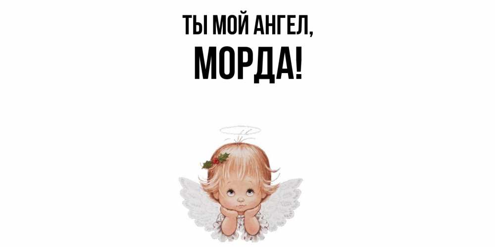 Открытка  для любимых и родных. морда, Ты мой ангел  