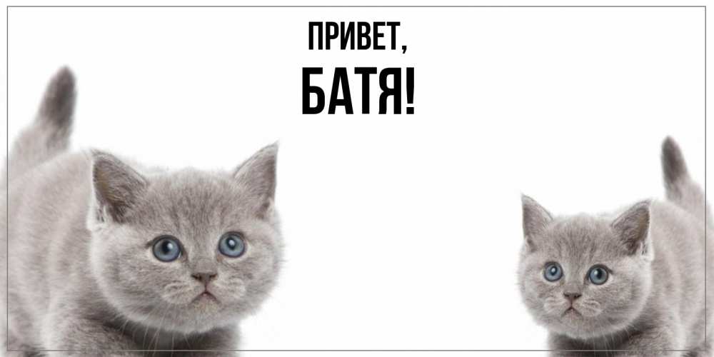 Открытка  для любимых и родных. Батя, Привет  