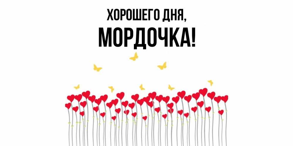 Открытка  для любимых и родных. мордочка, Хорошего дня  