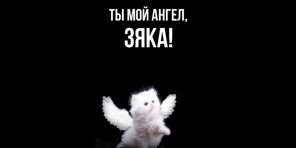 Картинка Ты мой ангел, зяка