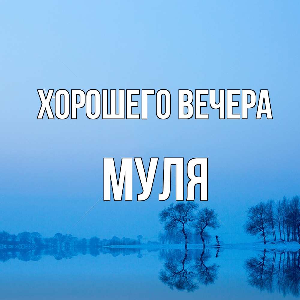 Открытка  для любимых и родных. муля, Хорошего вечера  