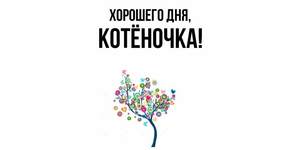 Открытка  для любимых и родных. котёночка, Хорошего дня  