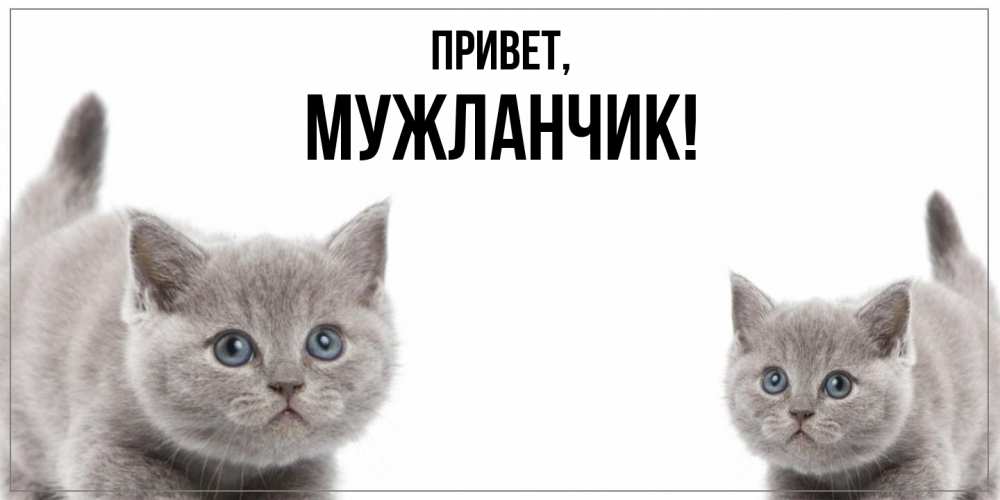 Картинка Привет, мужланчик