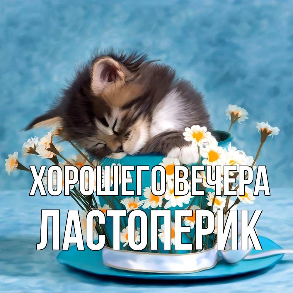 Картинка Хорошего вечера, ластоперик