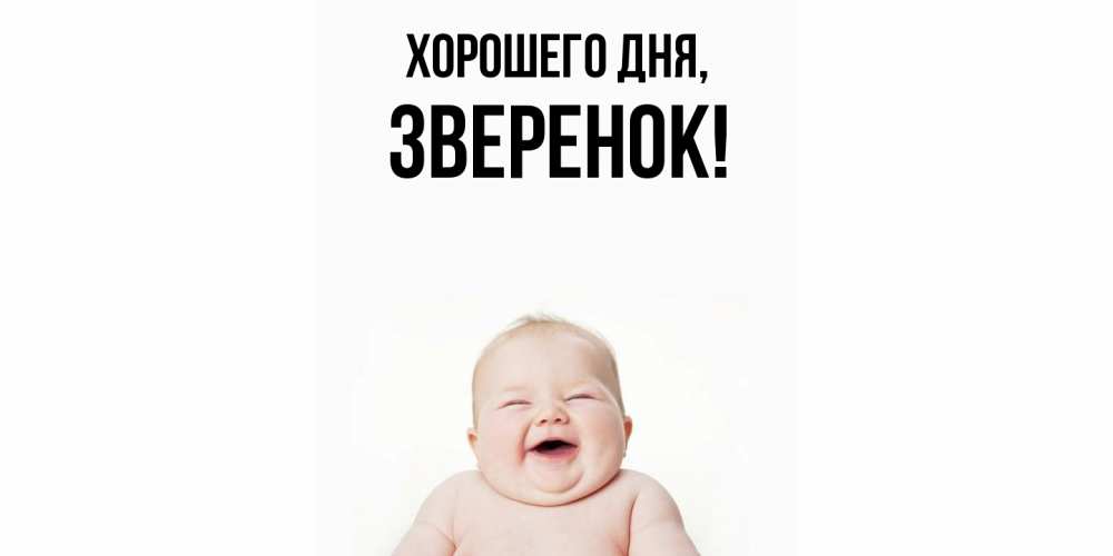 Открытка  для любимых и родных. зверенок, Хорошего дня  