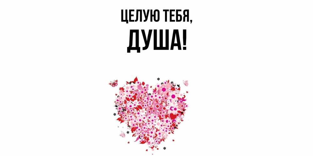 Картинка Целую тебя, душа