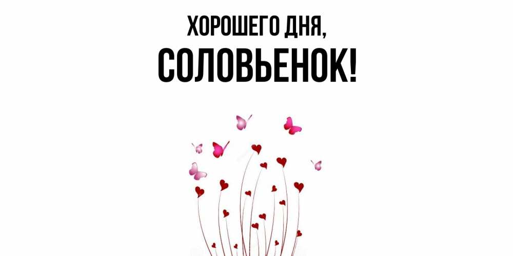 Открытка  для любимых и родных. соловьенок, Хорошего дня  