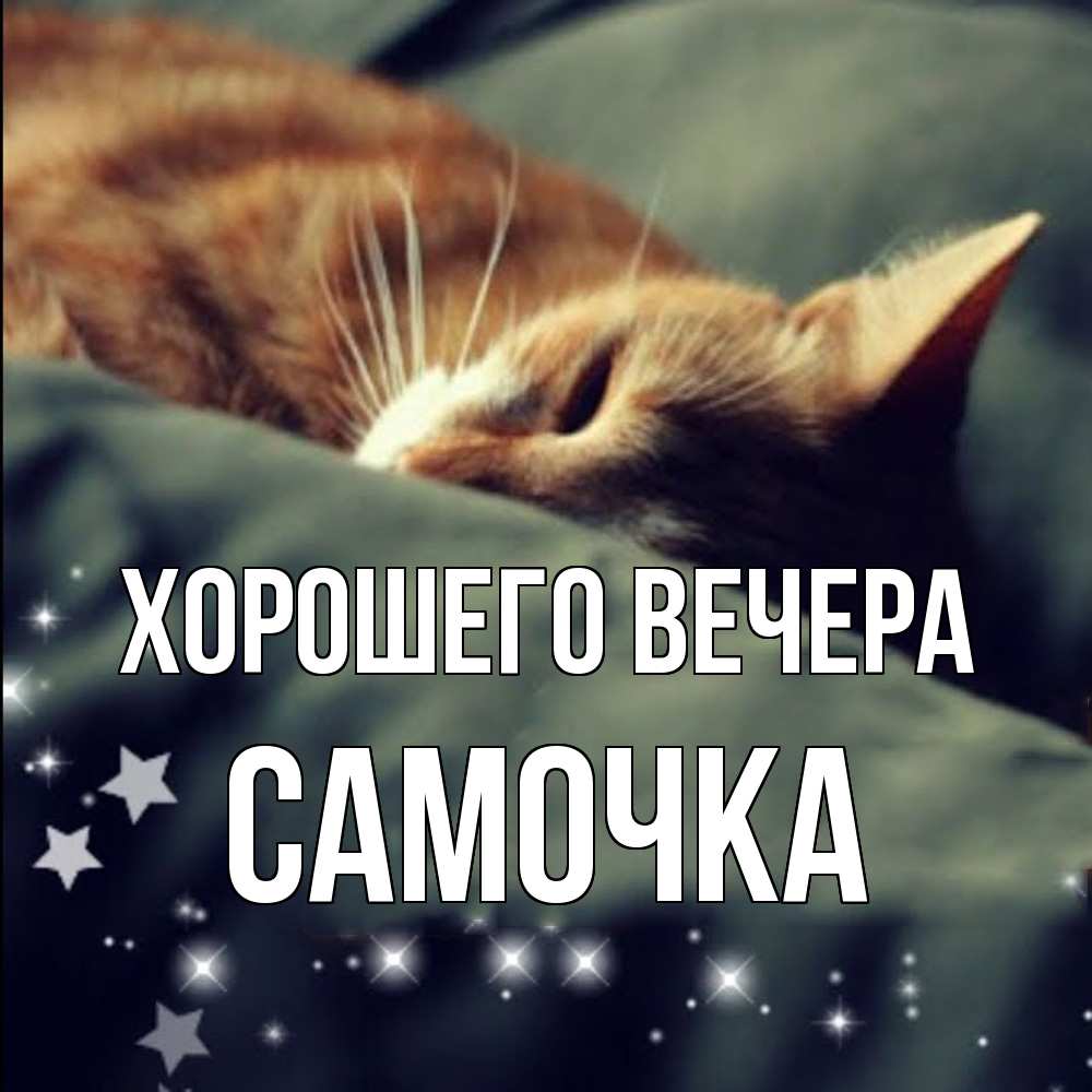 Картинка Хорошего вечера, самочка