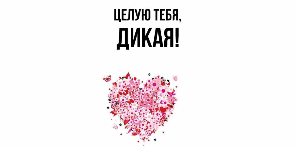 Открытка  для любимых и родных. дикая, Целую тебя  