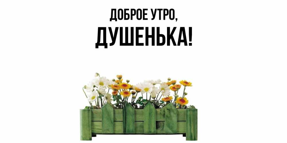 Открытка  для любимых и родных. душенька, Доброе утро  