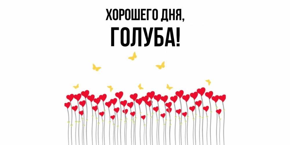 Открытка  для любимых и родных. голуба, Хорошего дня  