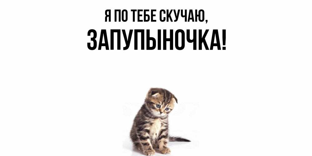 Открытка  для любимых и родных. запупыночка, Я по тебе скучаю  