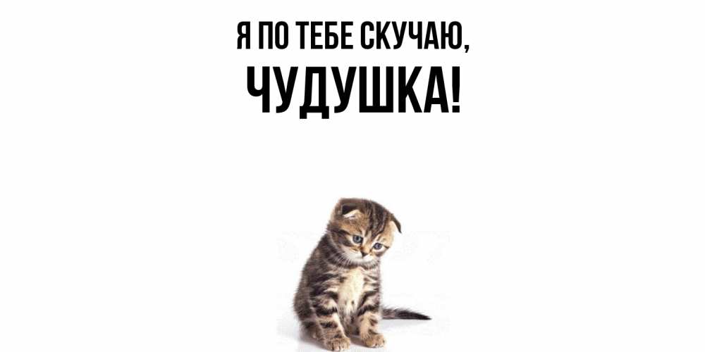 Открытка  для любимых и родных. чудушка, Я по тебе скучаю  