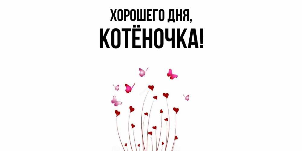 Открытка  для любимых и родных. котёночка, Хорошего дня  