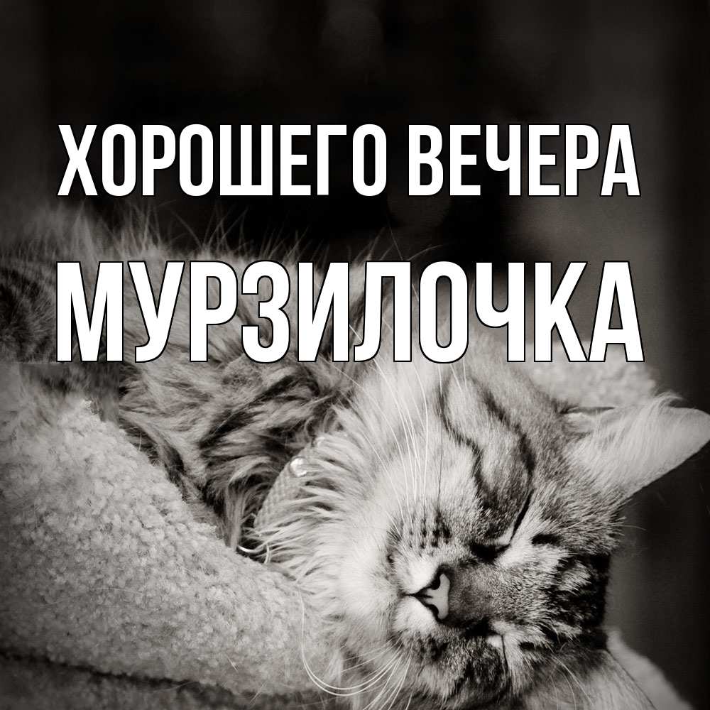 Картинка Хорошего вечера, мурзилочка