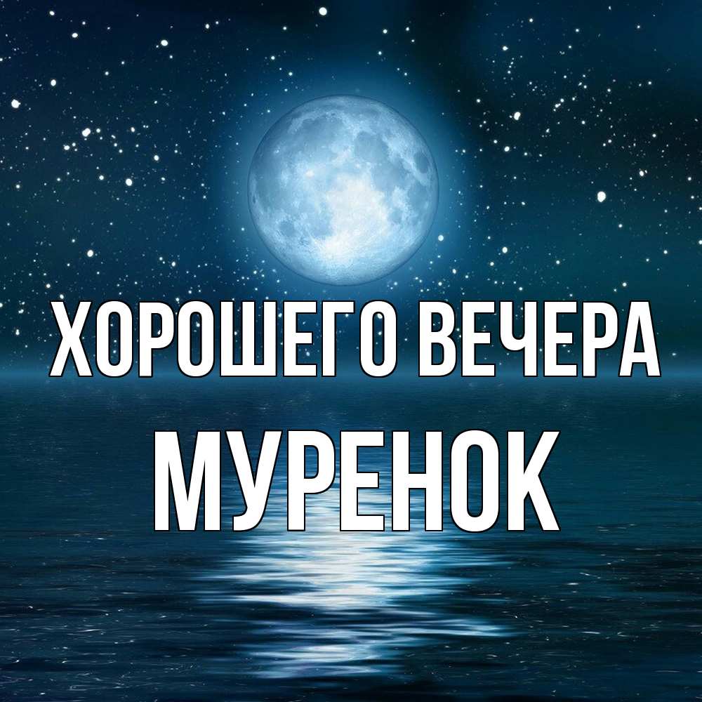 Открытка  для любимых и родных. муренок, Хорошего вечера  