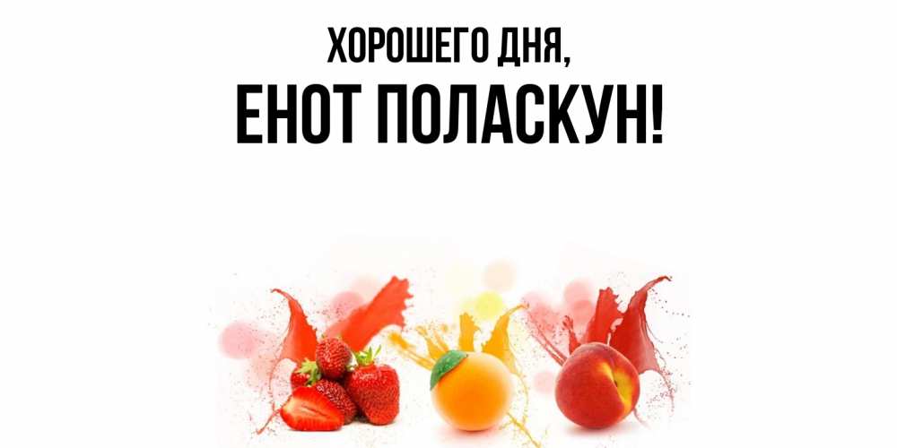 Открытка  для любимых и родных. енот, Хорошего дня  