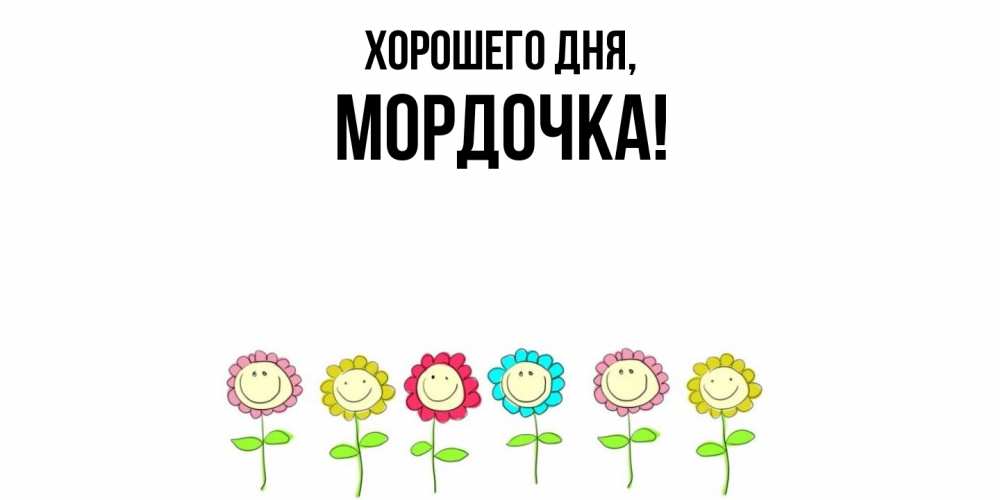 Открытка  для любимых и родных. мордочка, Хорошего дня  