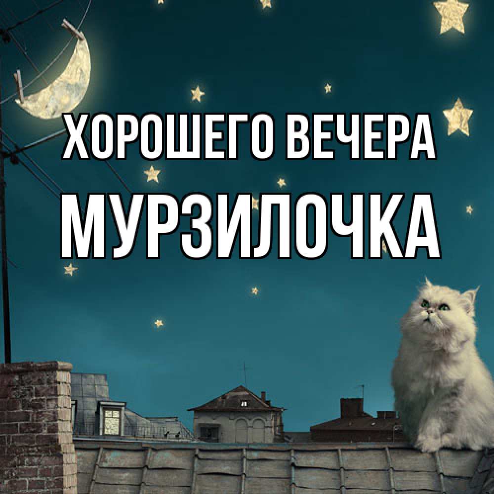 Картинка Хорошего вечера, мурзилочка