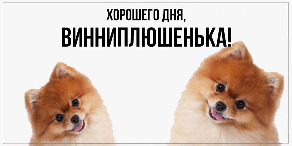 Открытка  для любимых и родных. винниплюшенька, Хорошего дня  