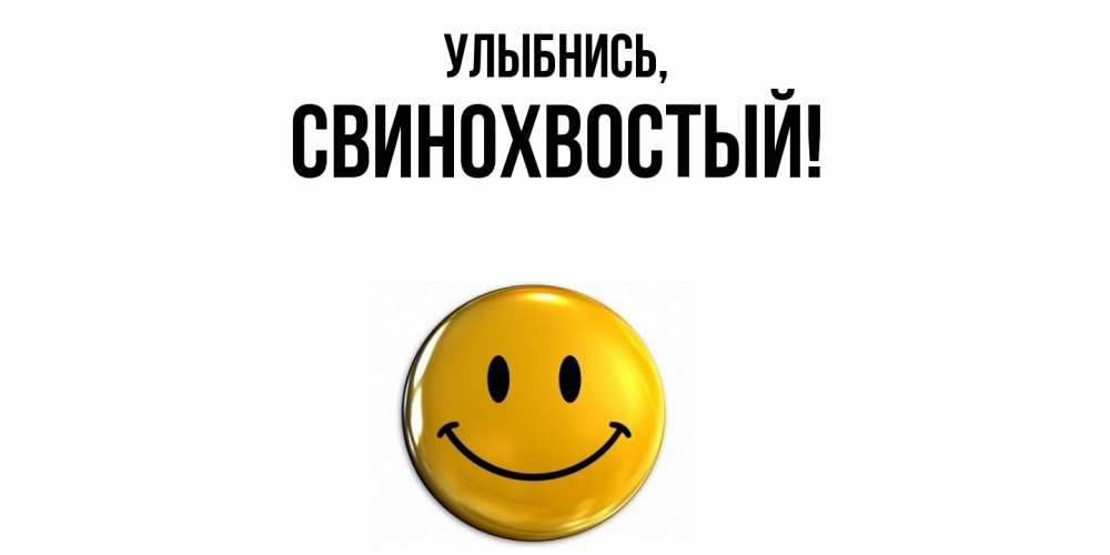 Открытка  для любимых и родных. свинохвостый, Улыбнись  