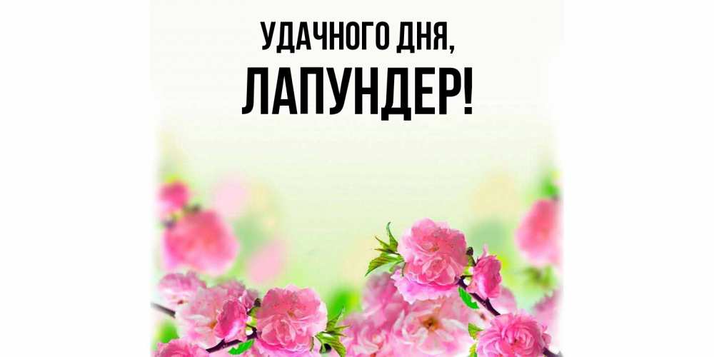 Открытка  для любимых и родных. лапундер, Удачного дня  