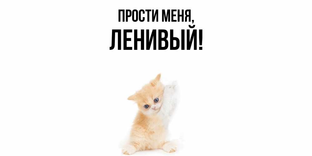 Открытка  для любимых и родных. ленивый, Прости меня  