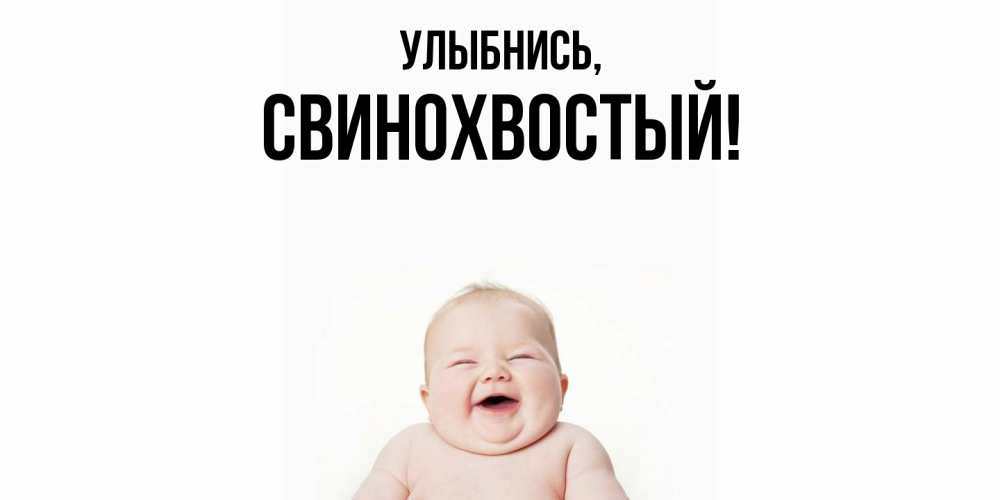 Открытка  для любимых и родных. свинохвостый, Улыбнись  