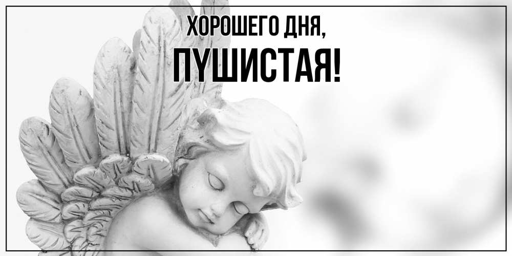 Открытка  для любимых и родных. пyшистая, Хорошего дня  