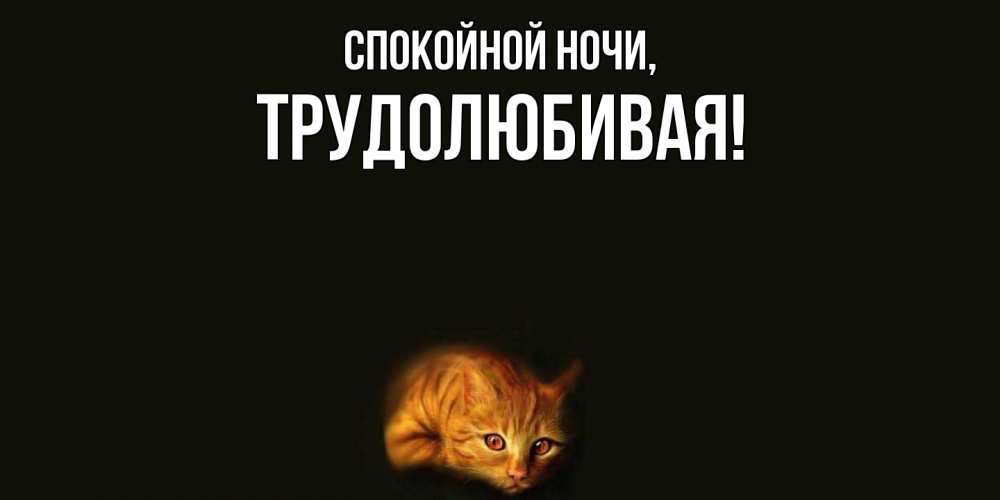 Открытка  для любимых и родных. тpудолюбивая, Спокойной ночи  