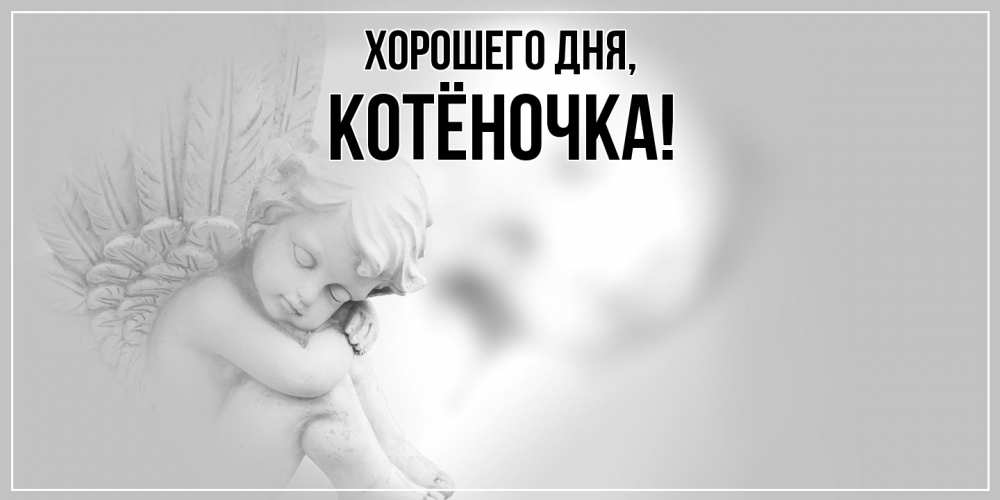 Открытка  для любимых и родных. котёночка, Хорошего дня  