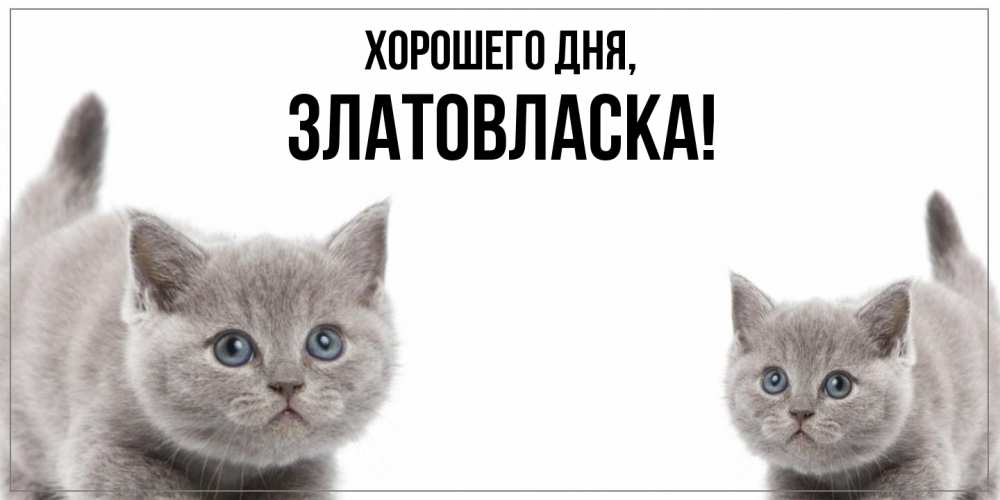 Открытка  для любимых и родных. златовласка, Хорошего дня  