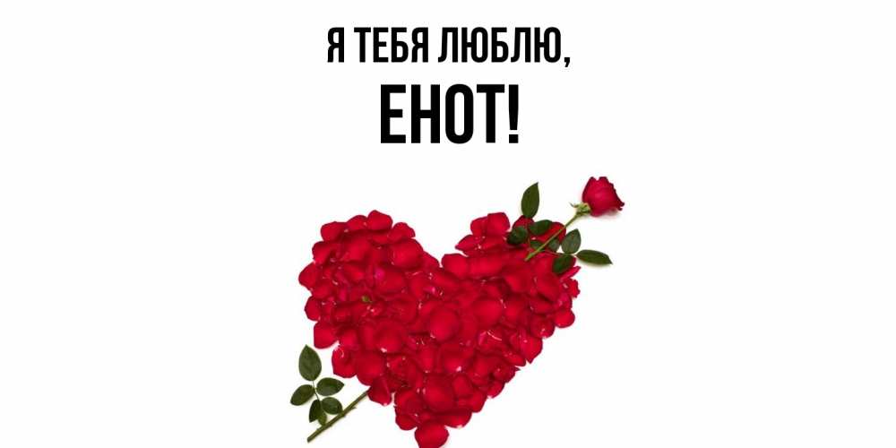 Открытка  для любимых и родных. енот, Я тебя люблю  